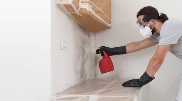 Professional Mold Testing technician working in Long Branch, VA