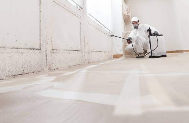 24/7 Emergency Mold Testing experts in Long Branch, VA